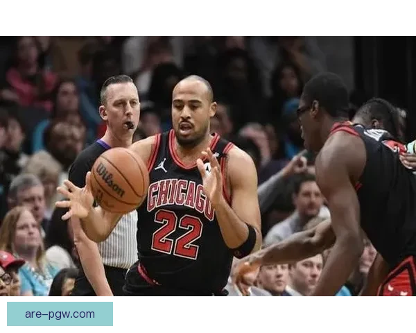 夏洛特黄蜂123比116力克芝加哥公牛三球爆发率队终结鏖战取胜