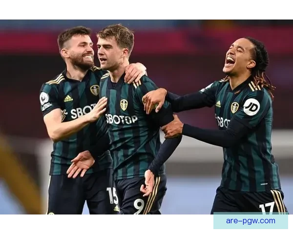 维尔茨堡力克汉堡终场险胜比分定格九十一比八十八