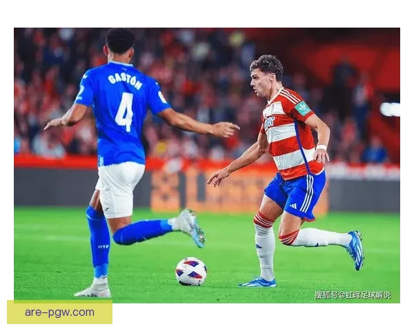 利云格尔与特里格拉德激战成平局全场精彩瞬间回顾与分析